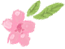 衡陽市蒸湘區(qū)仁愛實驗中學(xué)|衡陽全日制|全寄宿|全封閉|半月假制初級中學(xué) 衡陽市蒸湘區(qū)仁愛實驗中學(xué)|衡陽全日制|全寄宿|全封閉|半月假制初級中學(xué)